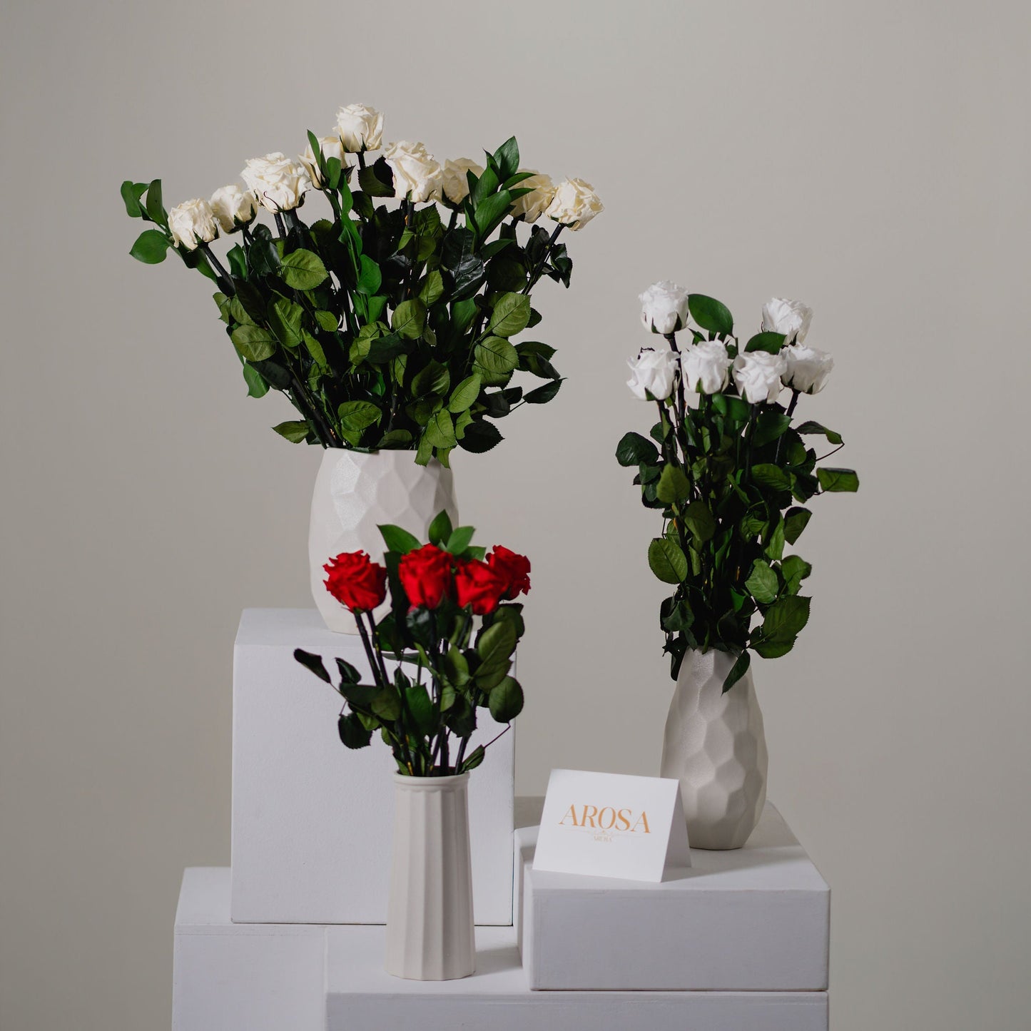 Preserved Rose Stem Bouquet - Dozen