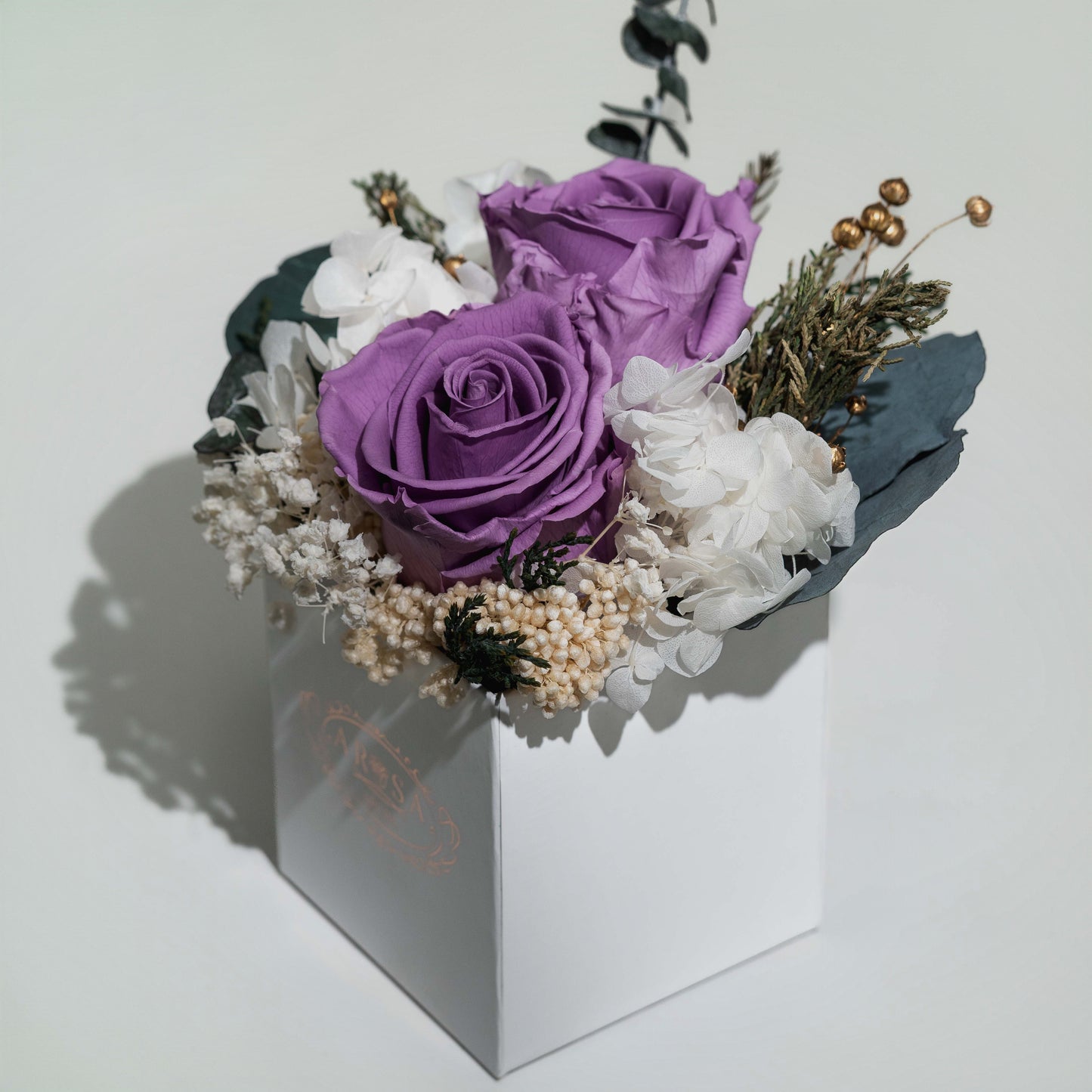 Holiday Collection - Roses
