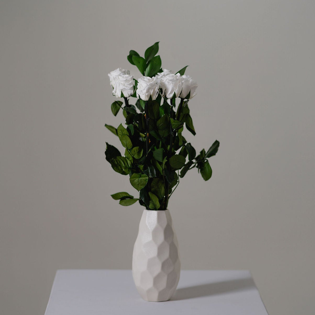 Preserved Rose Stem Bouquet - Half Dozen