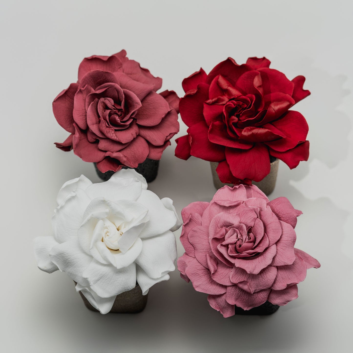 Holiday Collection - Gardenia & Rose