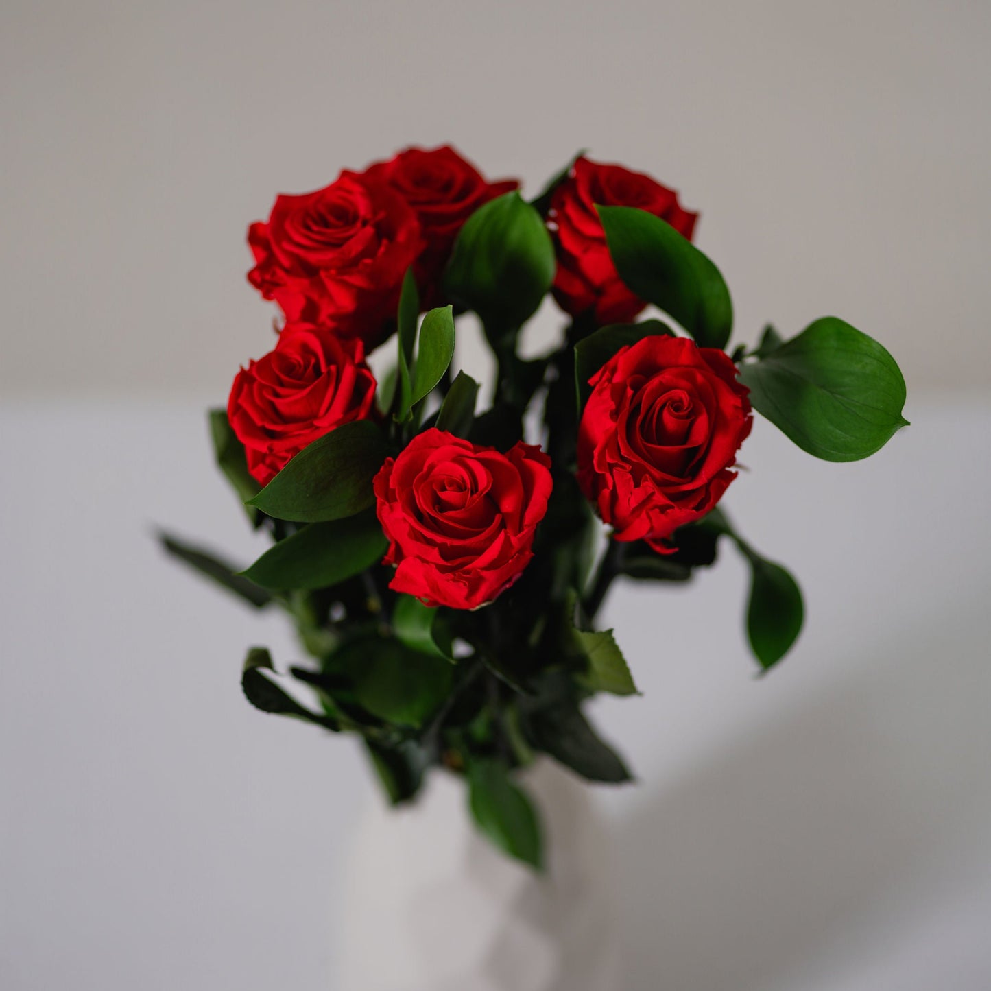 Preserved Rose Stem Bouquet - Half Dozen
