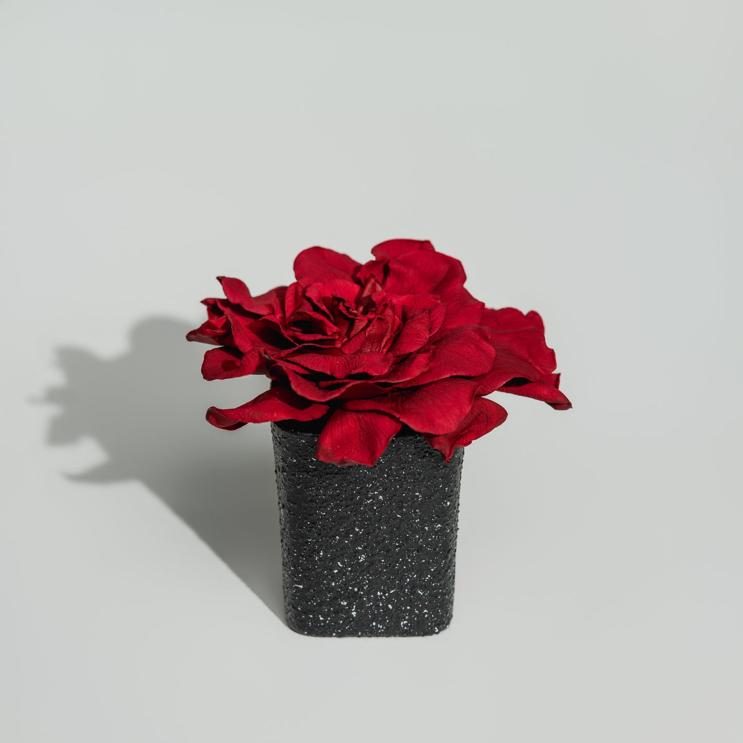 Obsidian Vase Gardenia