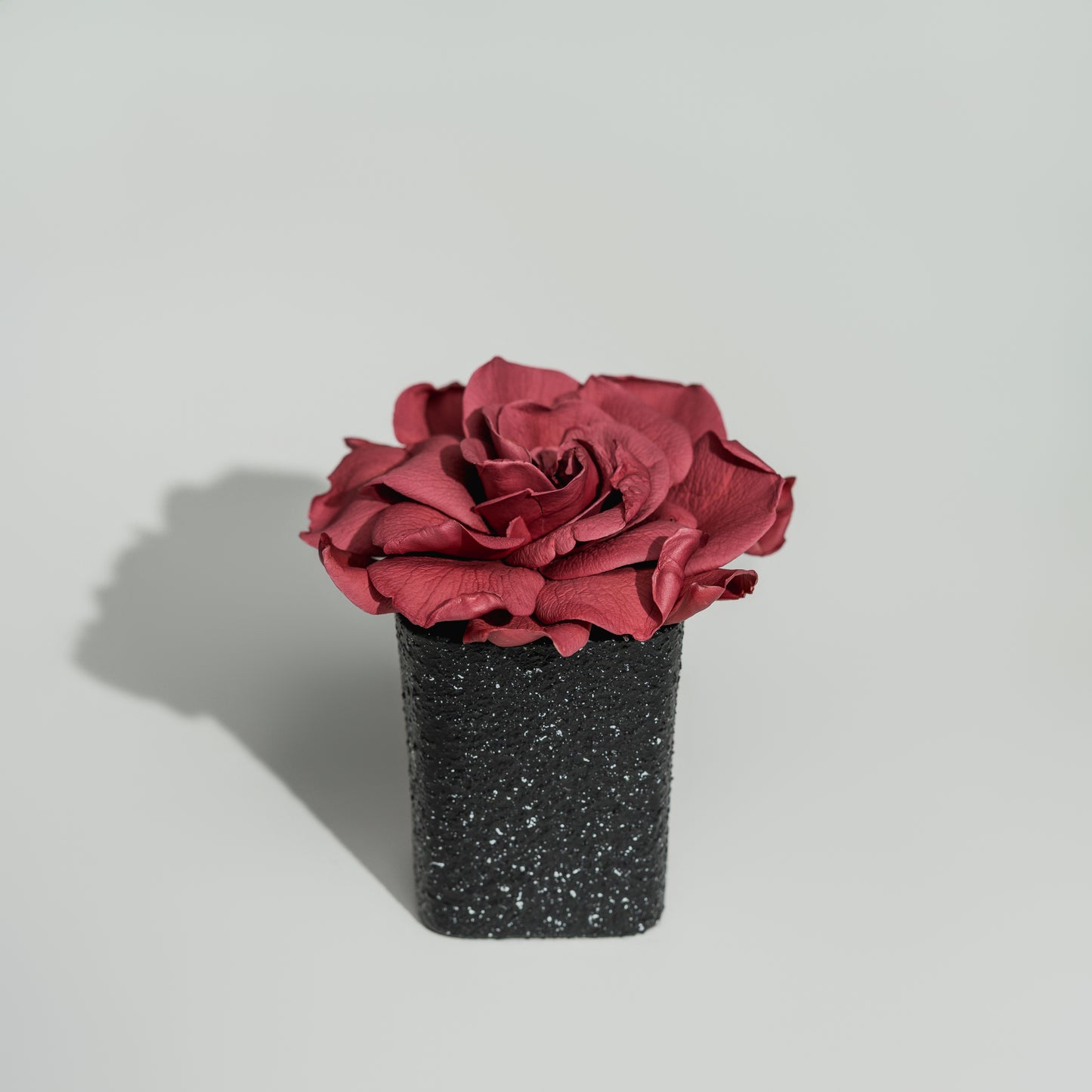 Obsidian Vase Gardenia