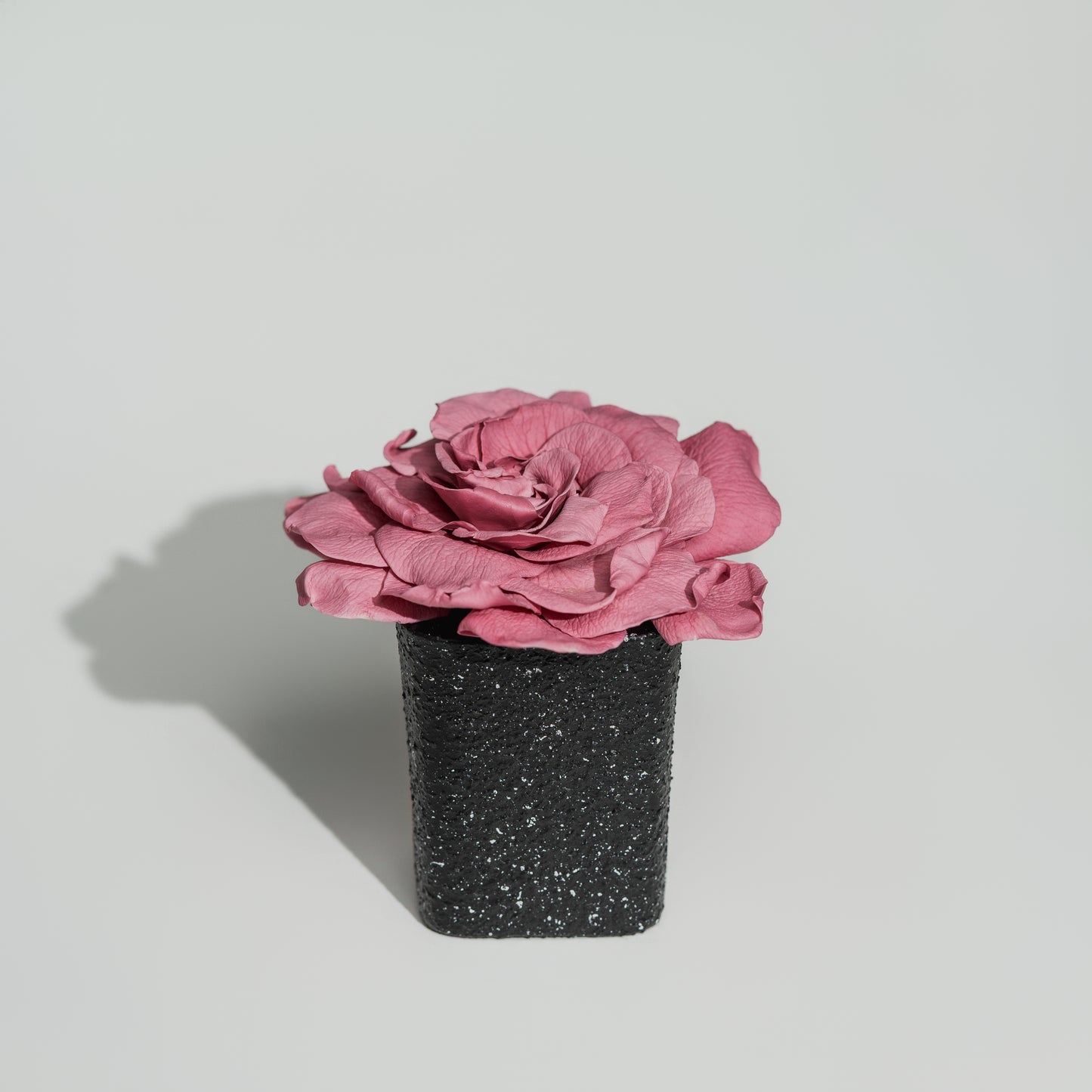 Obsidian Vase Gardenia