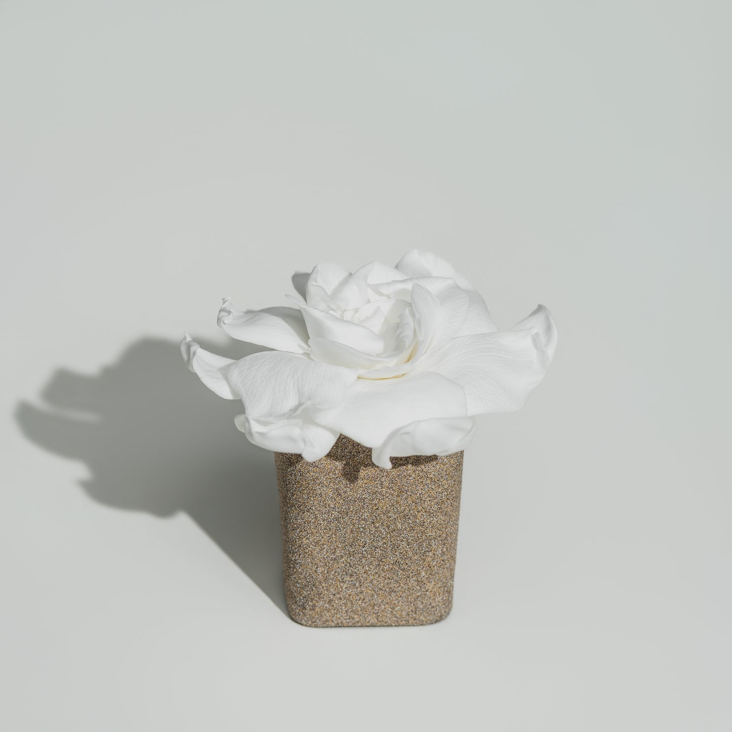 Sand Vase Gardenia
