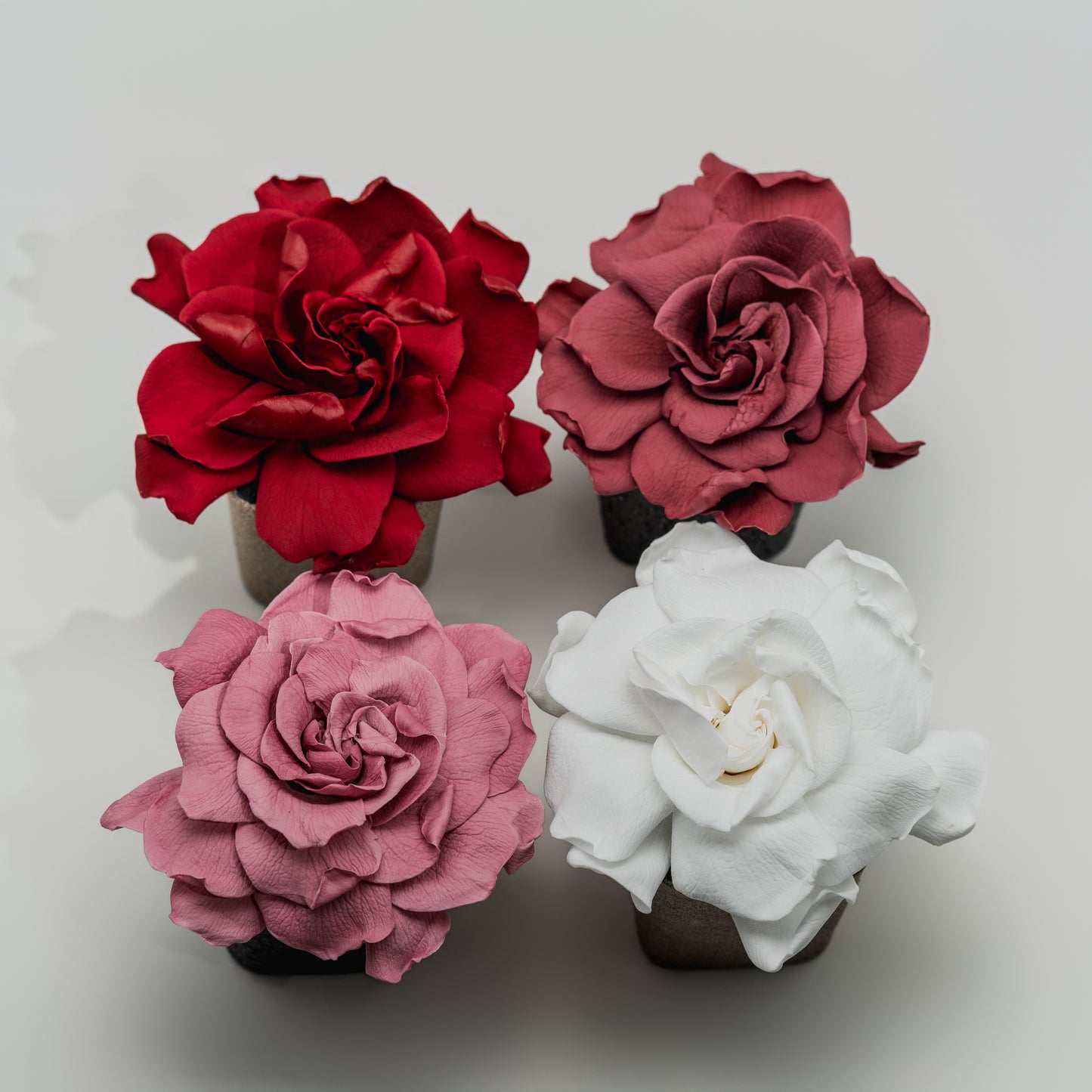 Obsidian Vase Gardenia