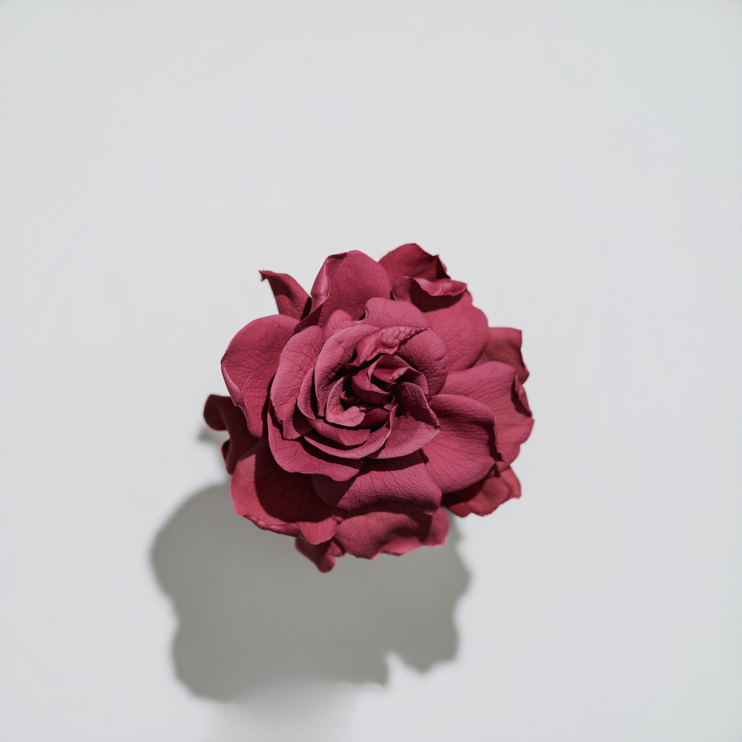 Holiday Collection - Gardenia & Rose