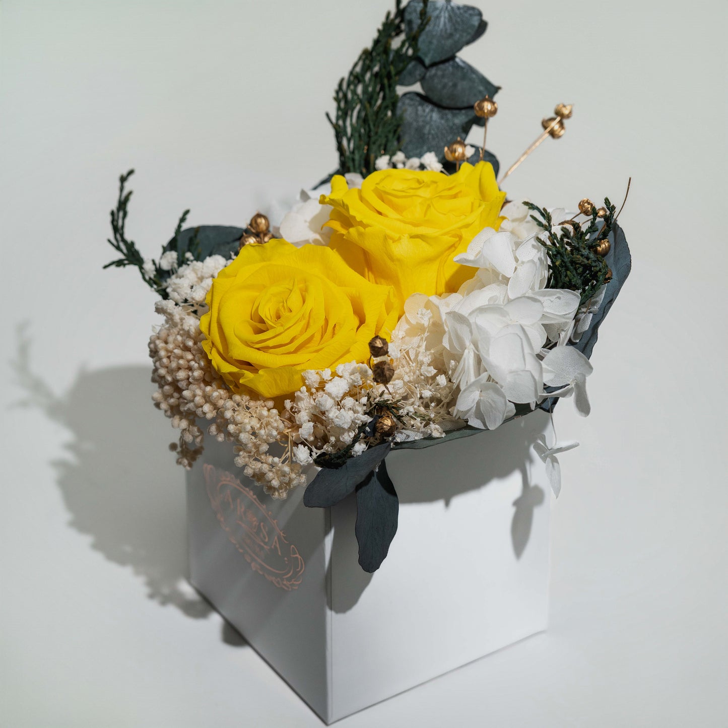 Holiday Collection - Roses