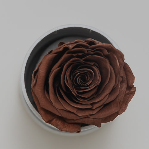 Individual Rose Box