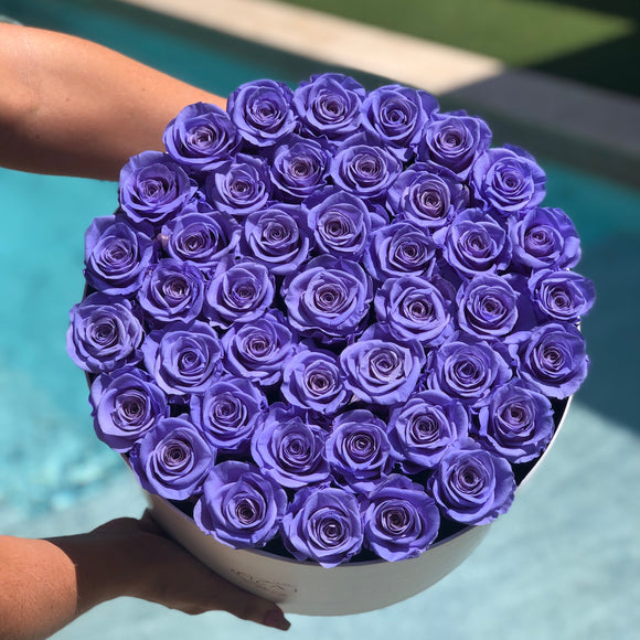 Large Round Solid Color Box